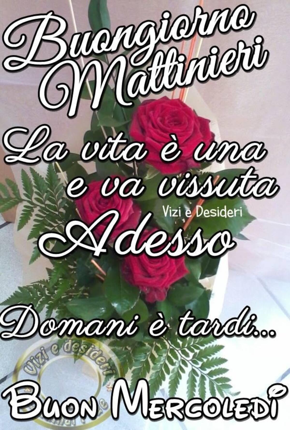 Buongiorno Mattinieri la vita è una e va vissuta adesso...Domani è tardi...Buon Mercoledì