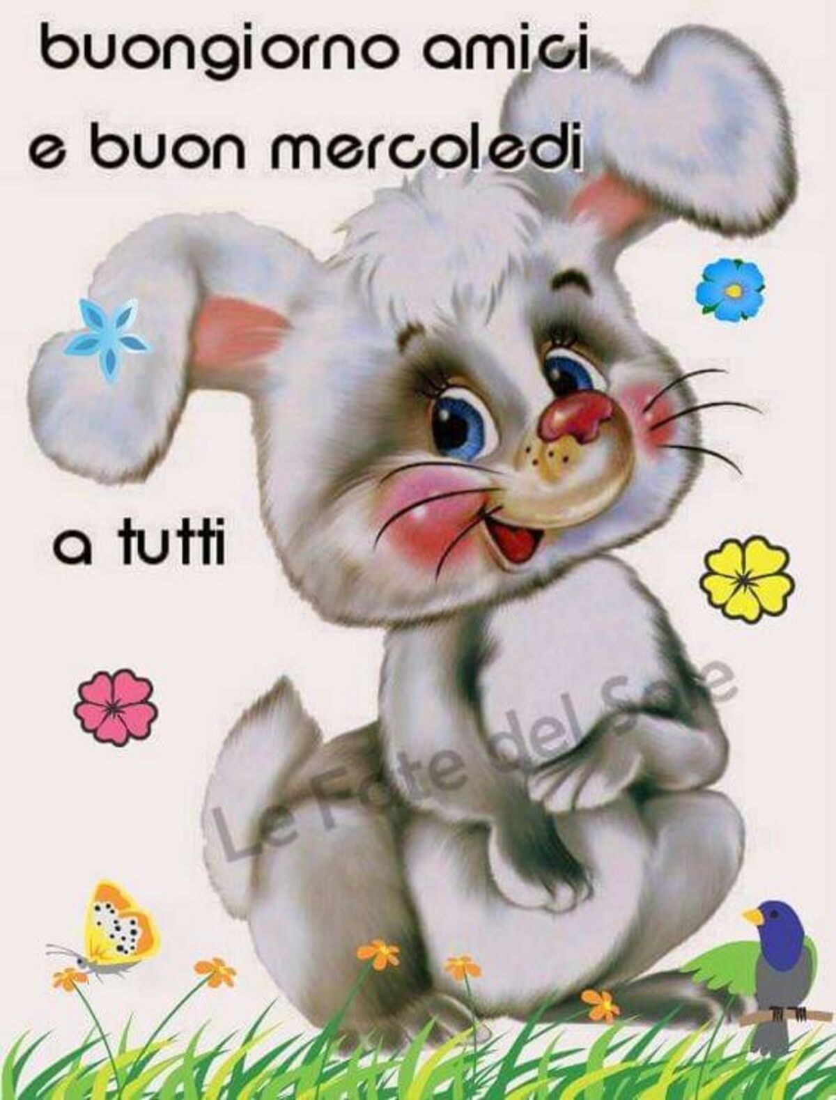 Buongiorno amici e buon mercoledì a tutti