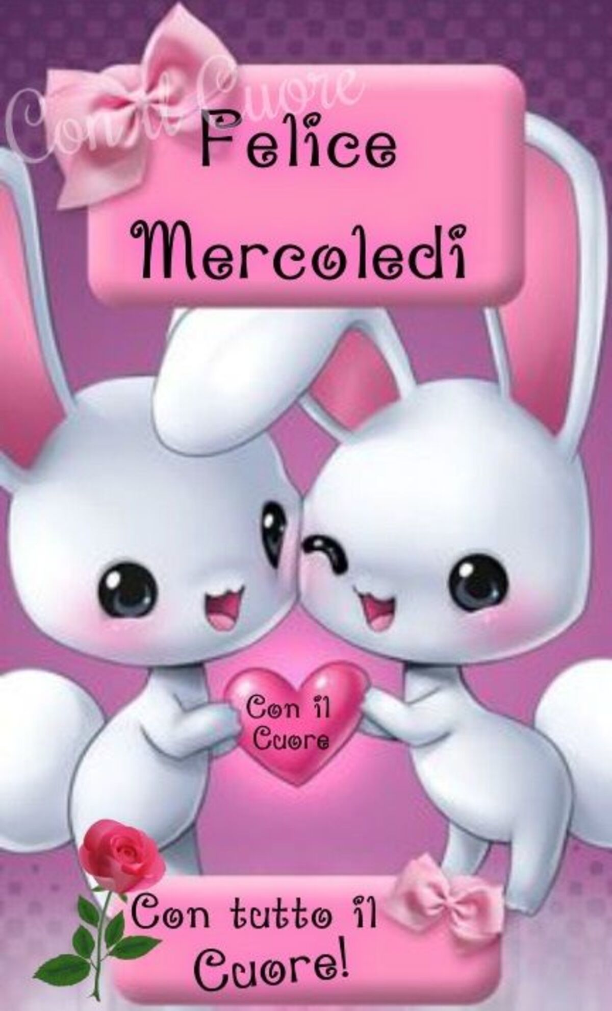 Felice Mercoledì con tutti il cuore!