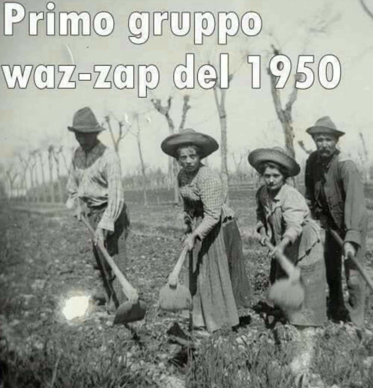 Primo Gruppo Waz-zap del 1950