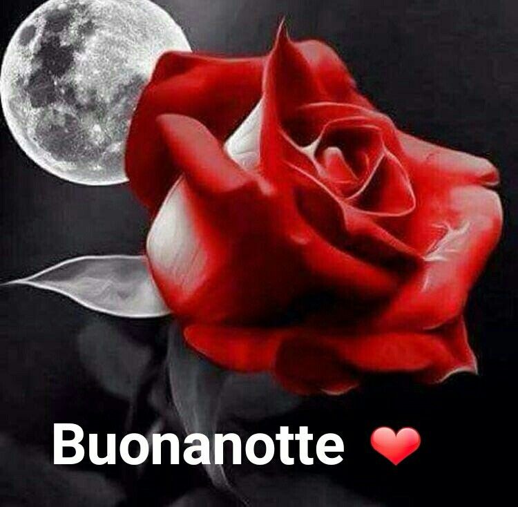 "Buonanotte Amore Mio"