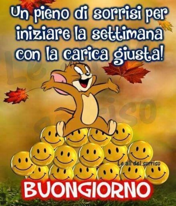 Un pieno di sorrisi per iniziare la settimana con la carica giusta! BUONGIORNO