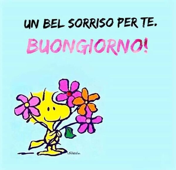 UN BEL SORRISO PER TE. BUONGIORNO !