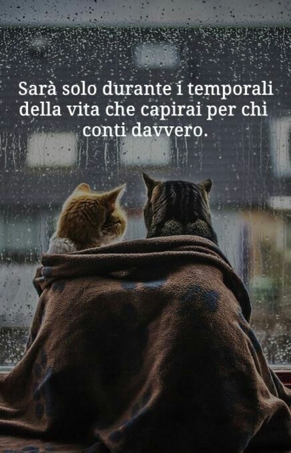 Sarà solo durante i temporali della vita che capirai per chi conti davvero