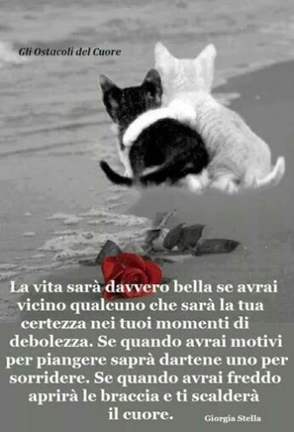Frasi d'amore