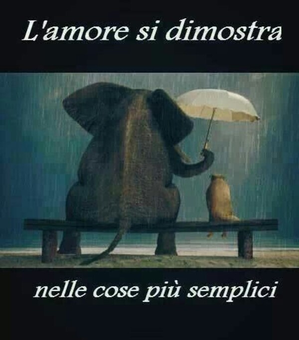 L'amore si dimostra nelle cose semplici