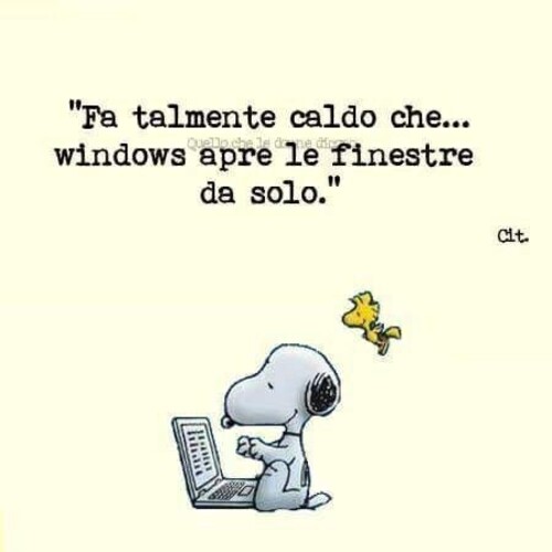 "Fa talmente caldo che...windows apre le finestre da solo."