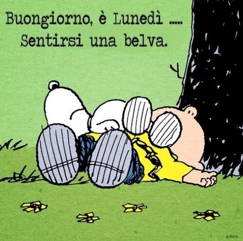 Buongiorno, è lunedì...Sentirsi una belva.