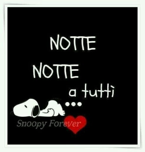 Notte notte a tutti