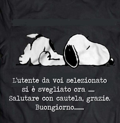 L'utente da voi selezionato si è svegliato ora...salutare con cautela...buongiorno