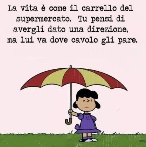 La vita è come il carrello del supermercato. Tu pensi di avergli dato una direzione, ma lui va dove cavolo gli pare