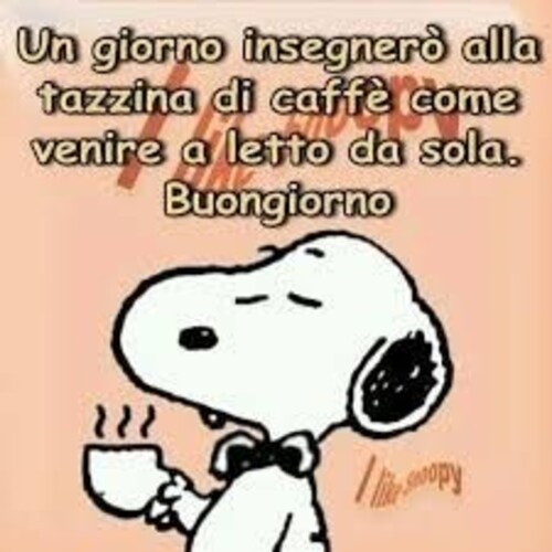 Un giorno insegnerò alla tazzina di caffè come venire a letto da sola. Buongiorno