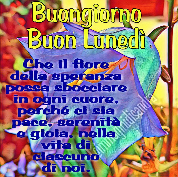 Andrà Tutto Bene Buon Lunedì. Che il fiore della Speranza possa sbocciare in ogni cuore, perchè ci sia pace, serenità e gioia nella vita di ognuno di noi.