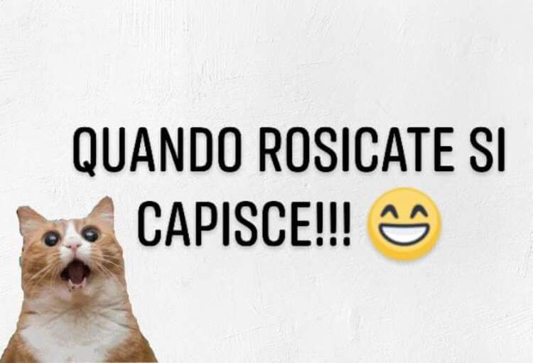 Quando rosicate si capisce!!!