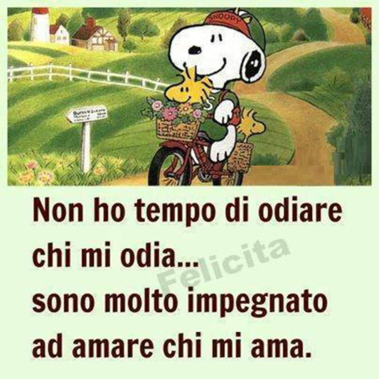 Non ho tempo di odiare chi mi odia...sono molto impegnato ad amare chi mi ama