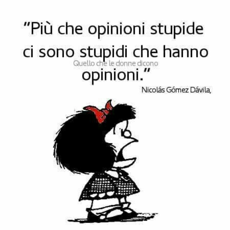 "Più che opinioni stupide ci sono stupidi che hanno opinioni."