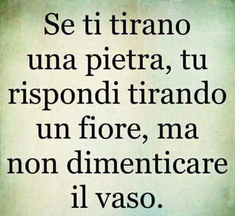 Se ti tirano una pietra, tu rispondi tirando un fiore, ma non dimenticare il vaso