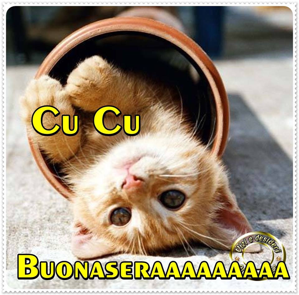 Cu Cu Buonaseraaaaaaaaa