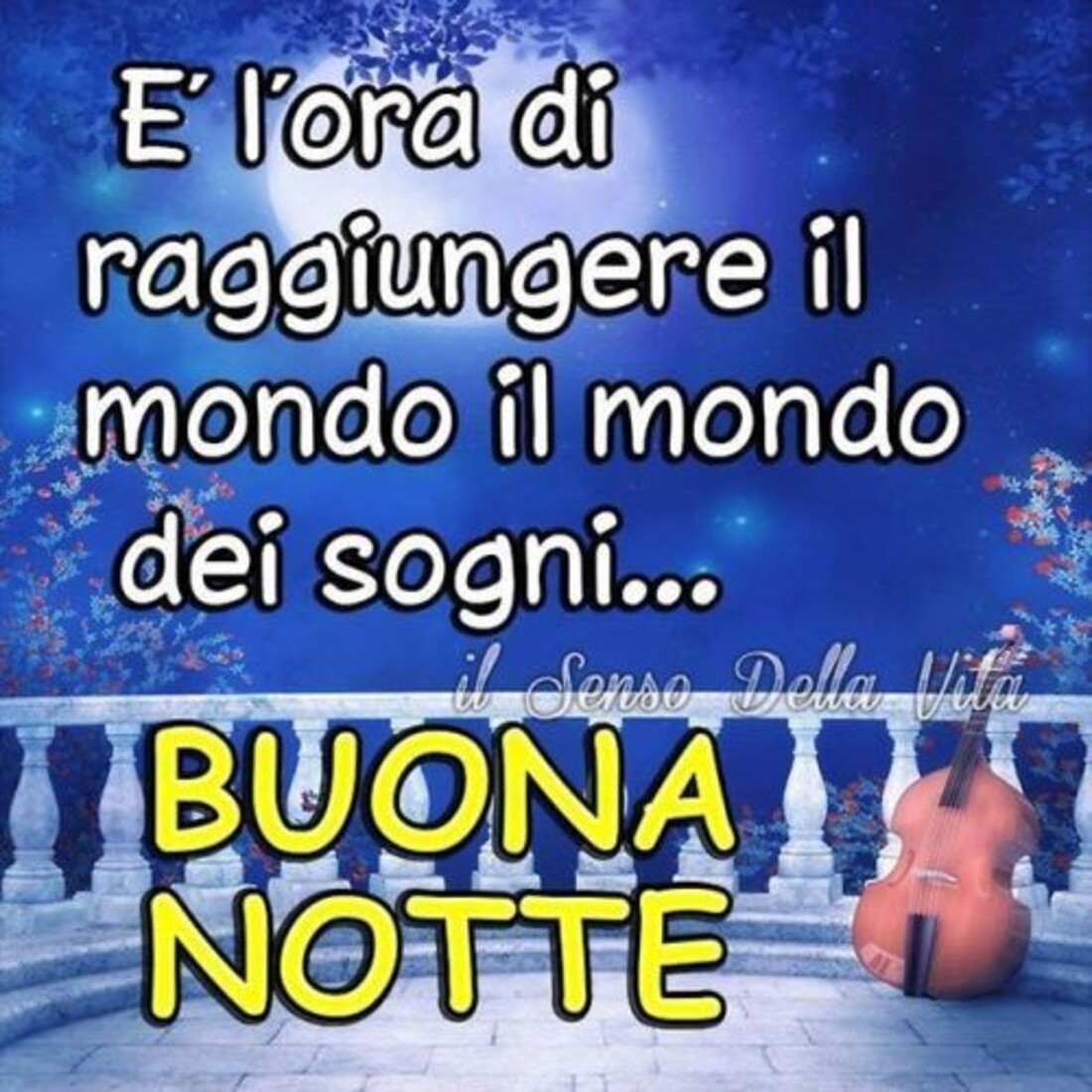 E' l'ora di raggiungere il mondo dei sogni... BUONA NOTTE