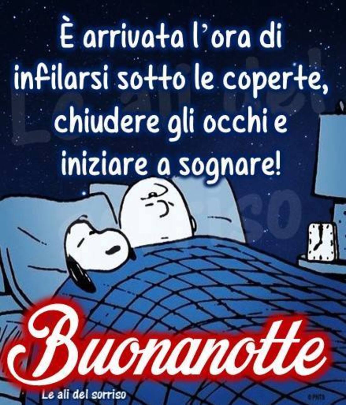 "E' arrivata l'ora di mettersi sotto le coperte, chiudere gli occhi e iniziare a sognare! BUONANOTTE"  - Snoopy