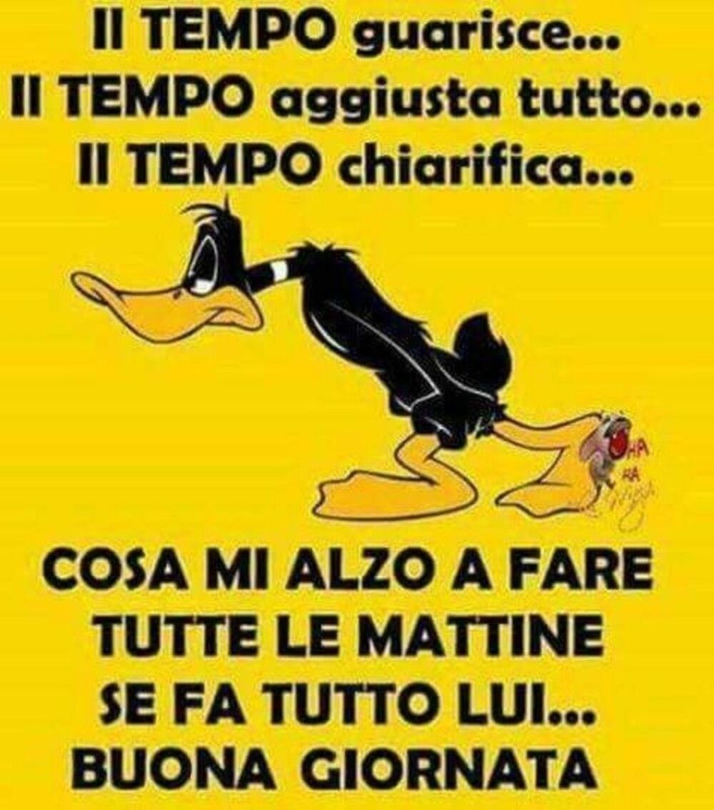 "Il tempo guarisce... il tempo aggiusta tutto....." - Buongiorno da ridere Looney Tunes