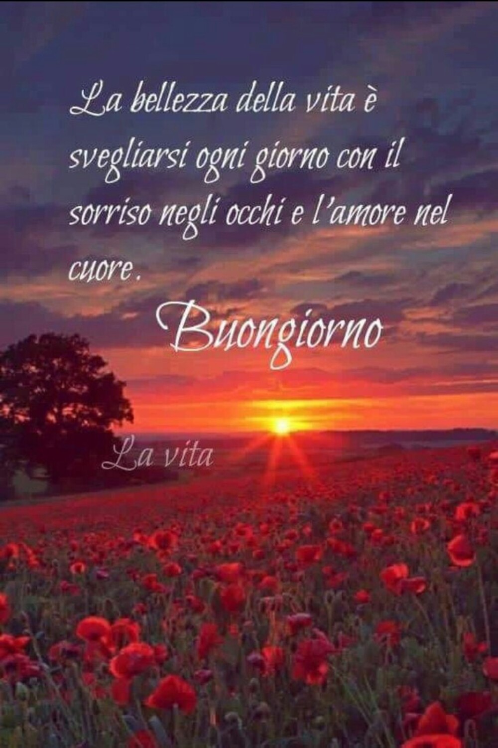 Buongiorno con frasi sulla Vita