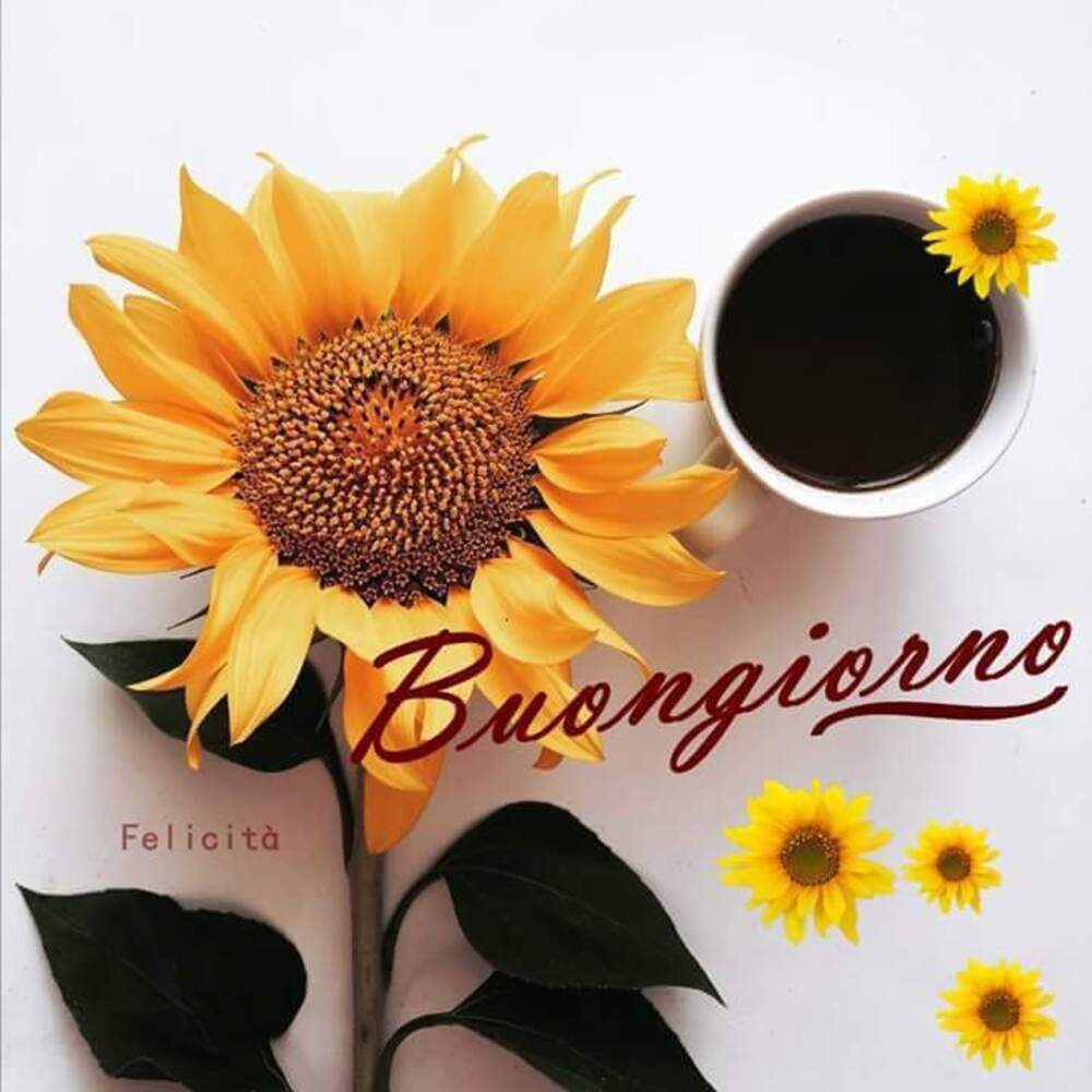 Buongiorno col caffè e con un girasole