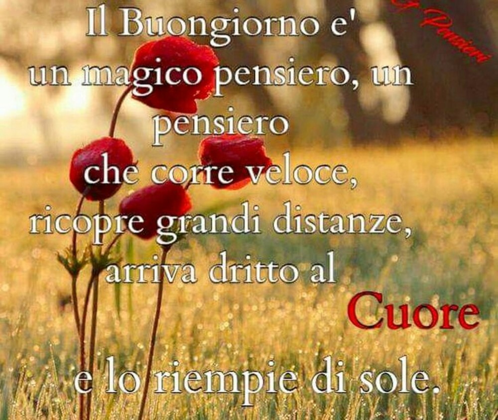 "Il Buongiorno è un magico pensiero, un pensiero che corre veloce, copre grandi distanze, arriva dritto al Cuore, e lo riempie di Sole!"