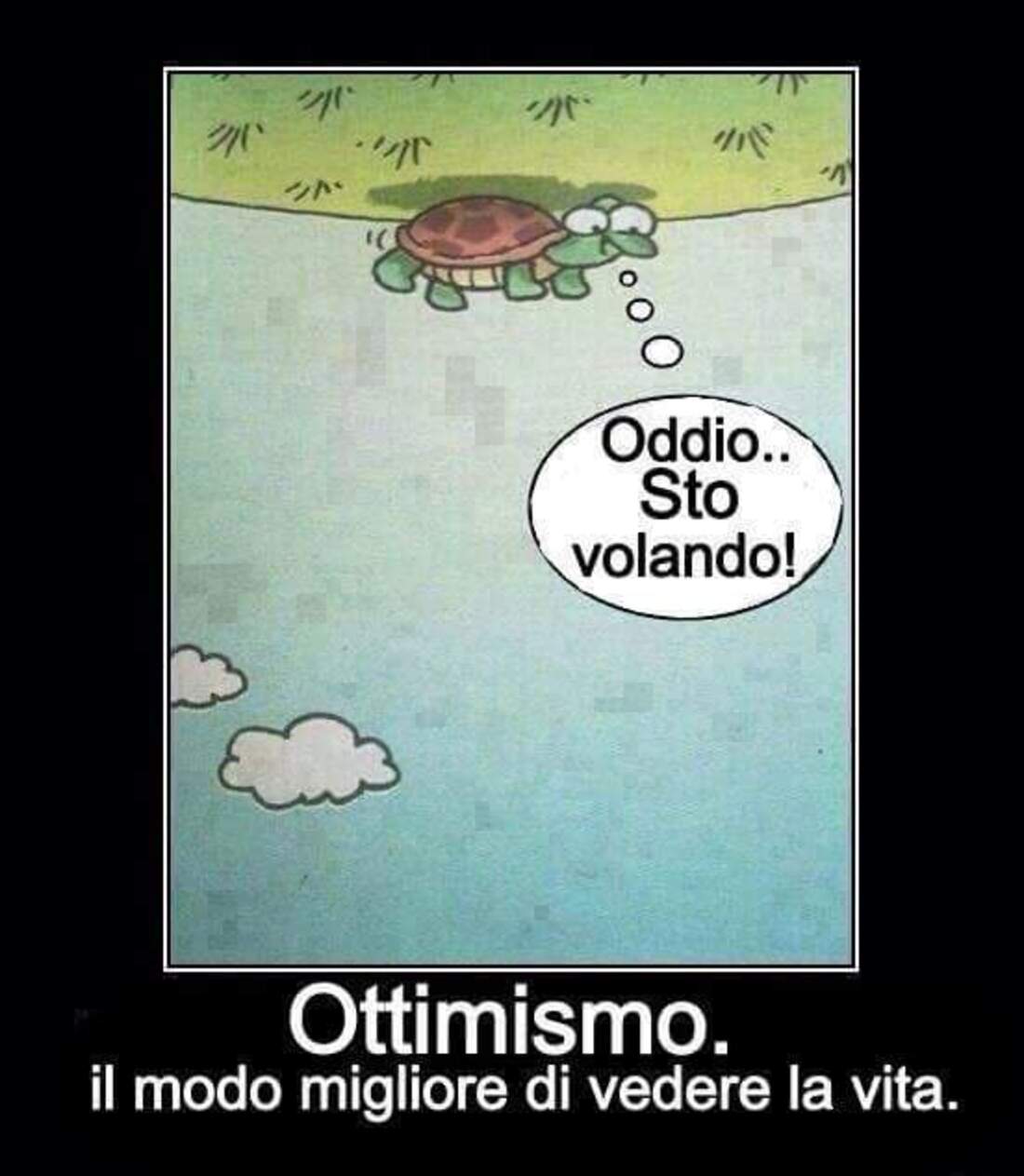 Oddio... Sto volando! Ottimismo: il modo migliore di vedere la vita.