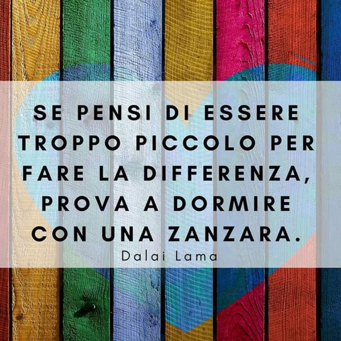 "Se pensi di essere troppo piccolo per fare la differenza, prova a dormire con una zanzara." - Dalai Lama