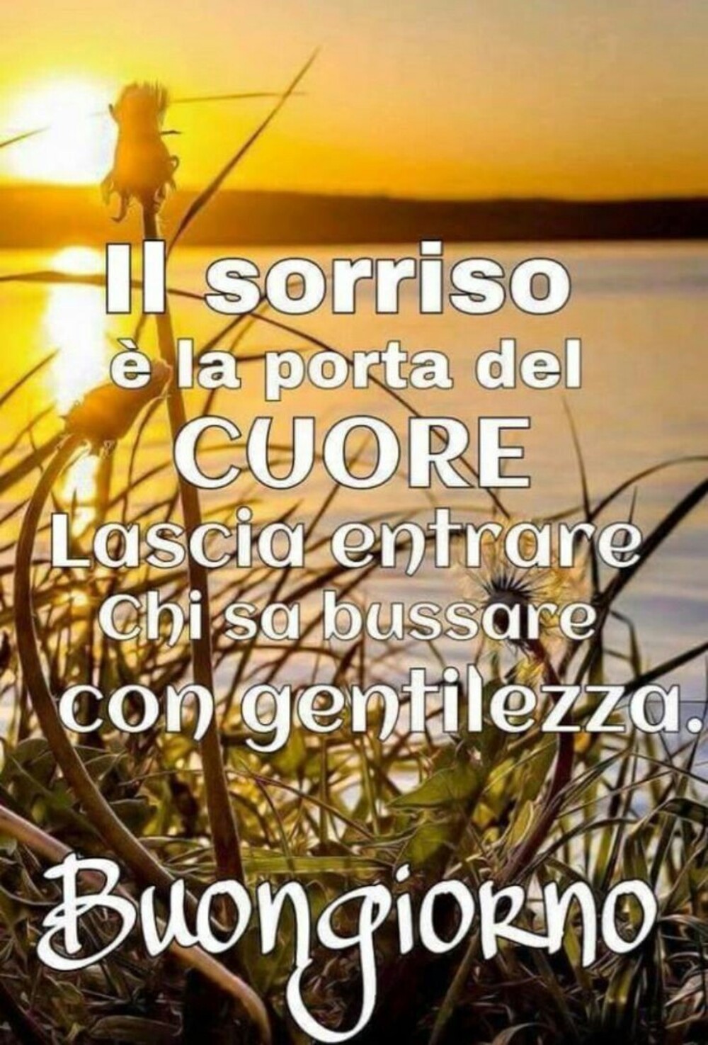 "Il sorriso è la porta del Cuore. Lascia entrare chi sa bussare con gentilezza. Buongiorno"