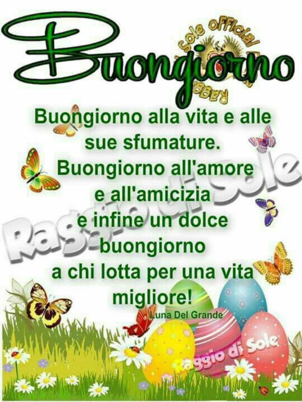 "Buongiorno alla vita e alle sue sfumature....."