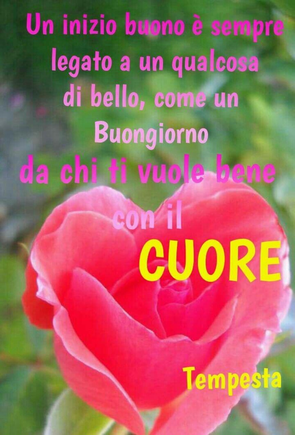 Un inizio buono è sempre legato a un qualcosa di bello, come un Buongiorno da chi ti vuole bene con il Cuore