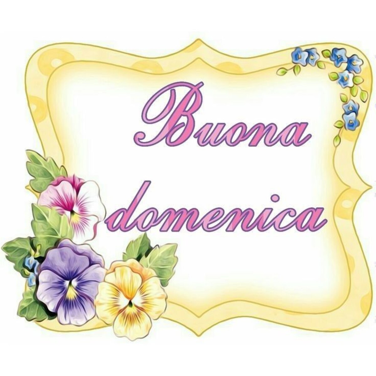 Buona Domenica con i fiori