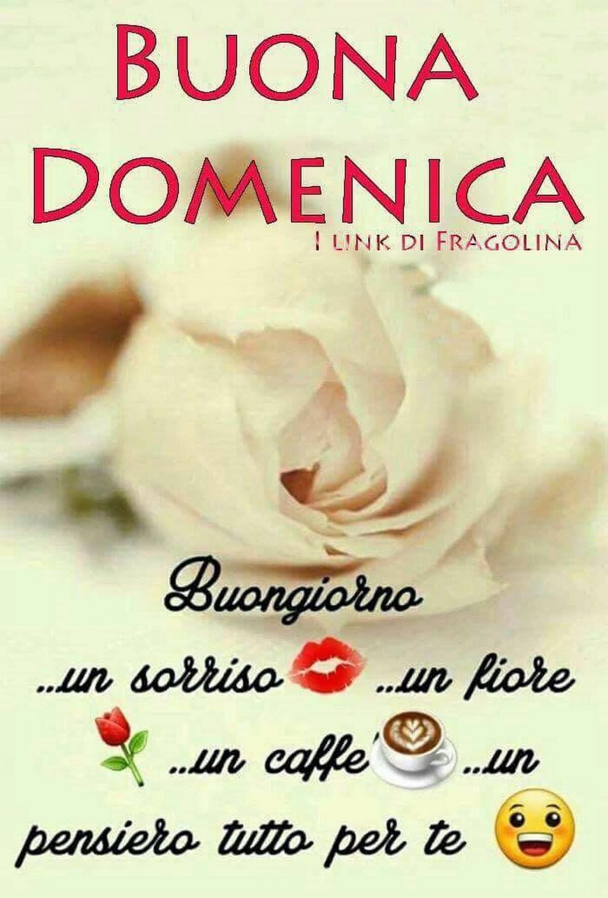 Buona Domenica Buongiorno... un sorriso... un fiore... un caffè... un pensiero tutto per te!