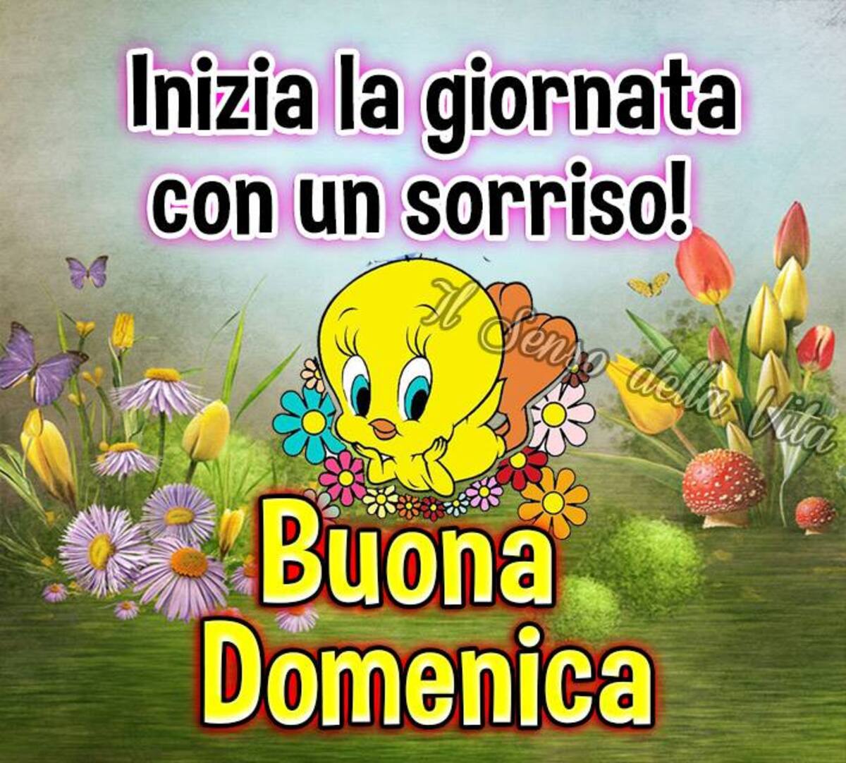 Inizia la giornata con un sorriso... Buona Domenica!