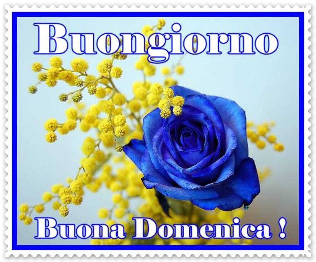 Buongiorno, Buona Domenica!