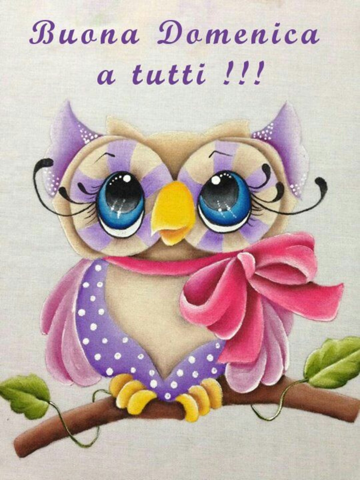 Buona Domenica a Tutti !!!