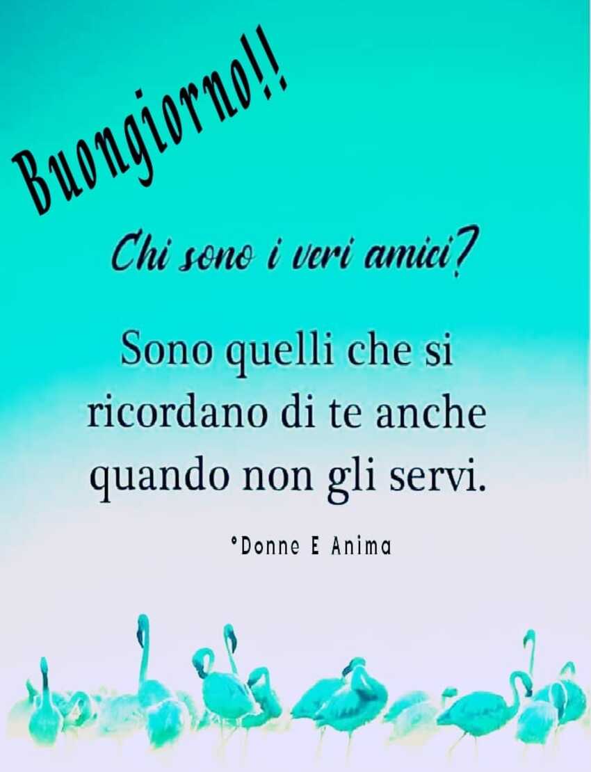 Buongiorno!! Chi sono i veri amici? Sono quelli che si ricordano di te anche quando non gli servi. (Donne e Anima)