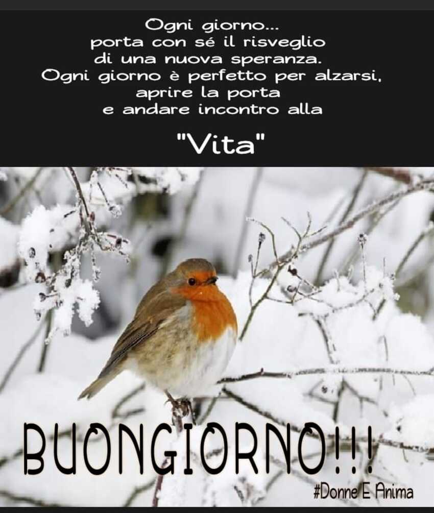 Ogni giorno... porta con sè il risveglio di una nuova speranza... - buongiorno inverno