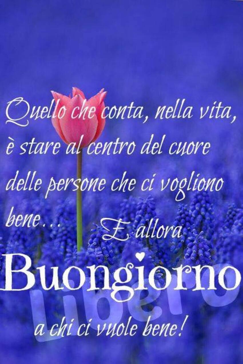 Quello che conta, nella vita, è stare al centro del cuore delle persone che ci vogliono bene... E allora buongiorno a chi ce ne vuole ! (Libero)