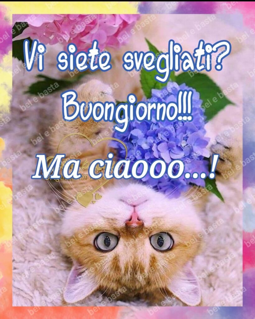 Vi siete svegliati? Buongiorno !!! Ma ciaooo...!