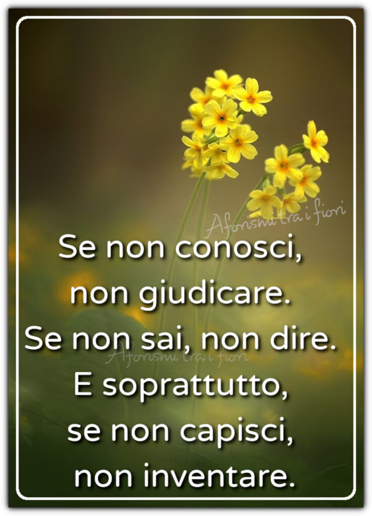 Se non conosci, non giudicare. Se non sai, non dire. E soprattutto, se non capisci, non inventare. (Aforismi tra i fiori)